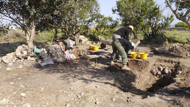 Figure 1: The temple site of Santa Verna under excavation.  The picture shows the team re-opening Ashby’s trench, which cut through the main passage of the temple