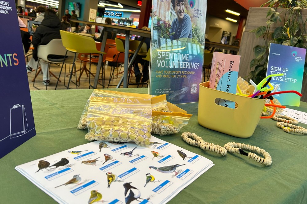 sheets of paper with bird pictures laid out in the foreground on an indoor table that also shows homemade bird-feeders and bird food, a recycling message and student posters